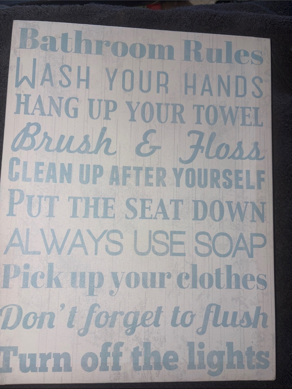Kohl's Light Blue 'Bathroom Rules' Wall Sign